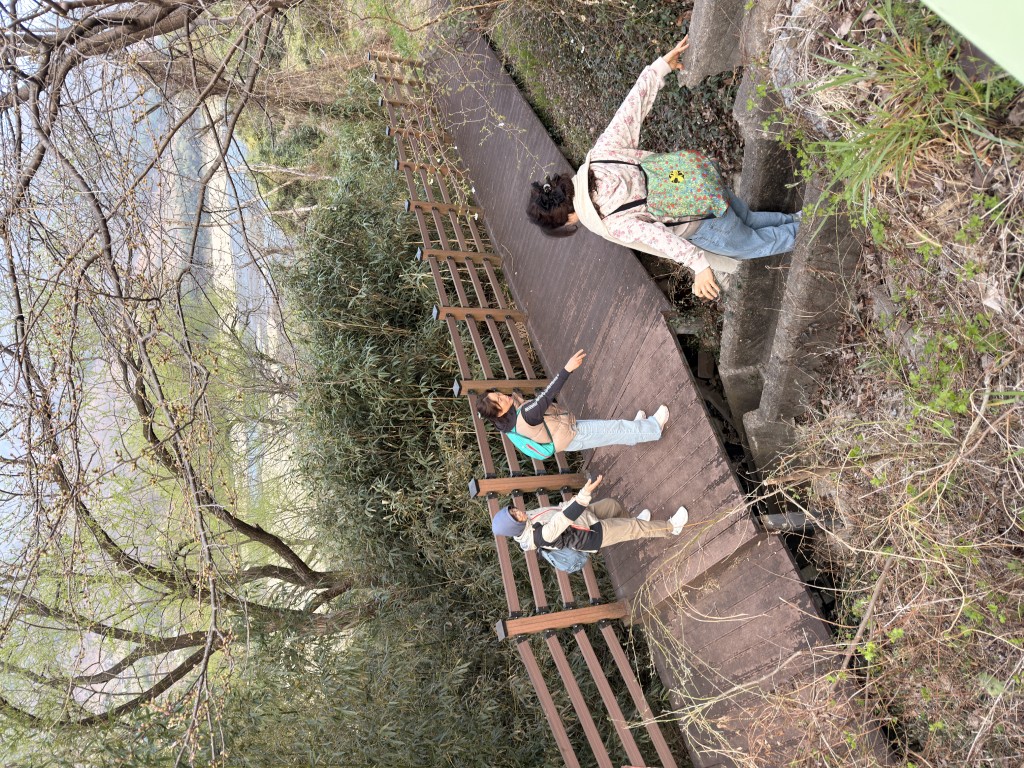 6f354236b8171d75645a5526a69246f3_1776240023_72.JPG