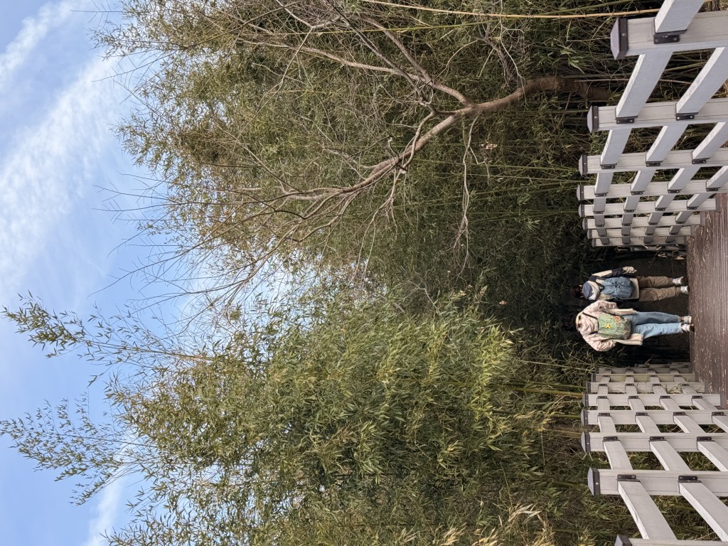6f354236b8171d75645a5526a69246f3_1776240072_45.JPG